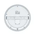 slice_circle_III_back-3.jpg