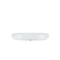 slice_circle_III_w_flach-3.jpg