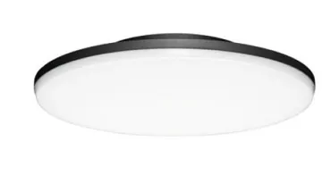 LED Aufbauleuchte Plate Round anthrazit, 19W, Ø300mm, 1360lm, 3000K, CRI80, IP65