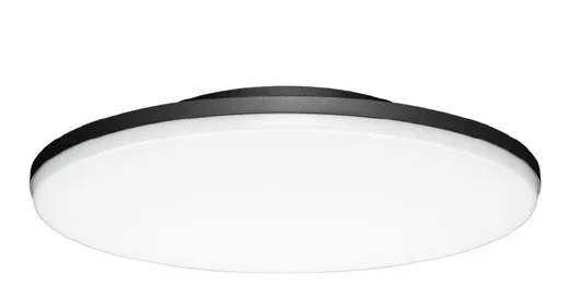 LED Aufbauleuchte Plate Round anthrazit, 17W, Ø300mm, 1200lm, 3000K, CRI80, IP65, HF-Sensor
