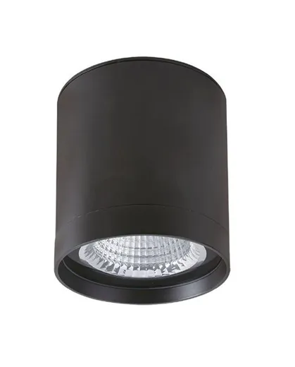LED Aufbaudownlight Cilindro Outdoor, 28.5W, 2850lm, 3000K, CRI80, 40°, IP65, anthrazit