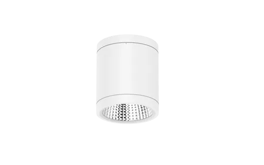 DL269-3 (1).png