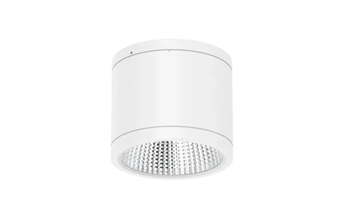 DL269-5 (1).png