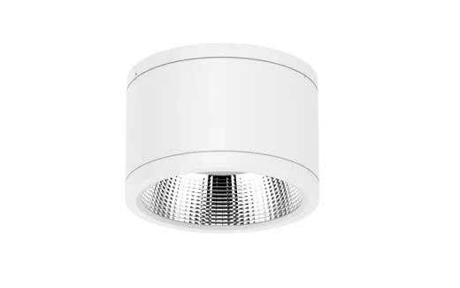 DL269-6 (1).png