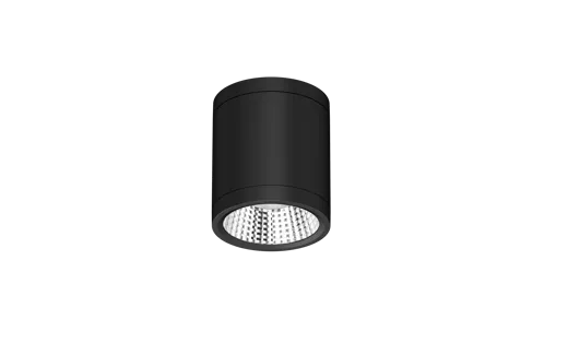 DL269-3 (3).png