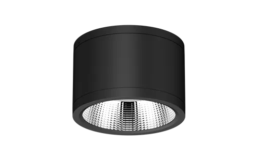 DL269-6 (2).png